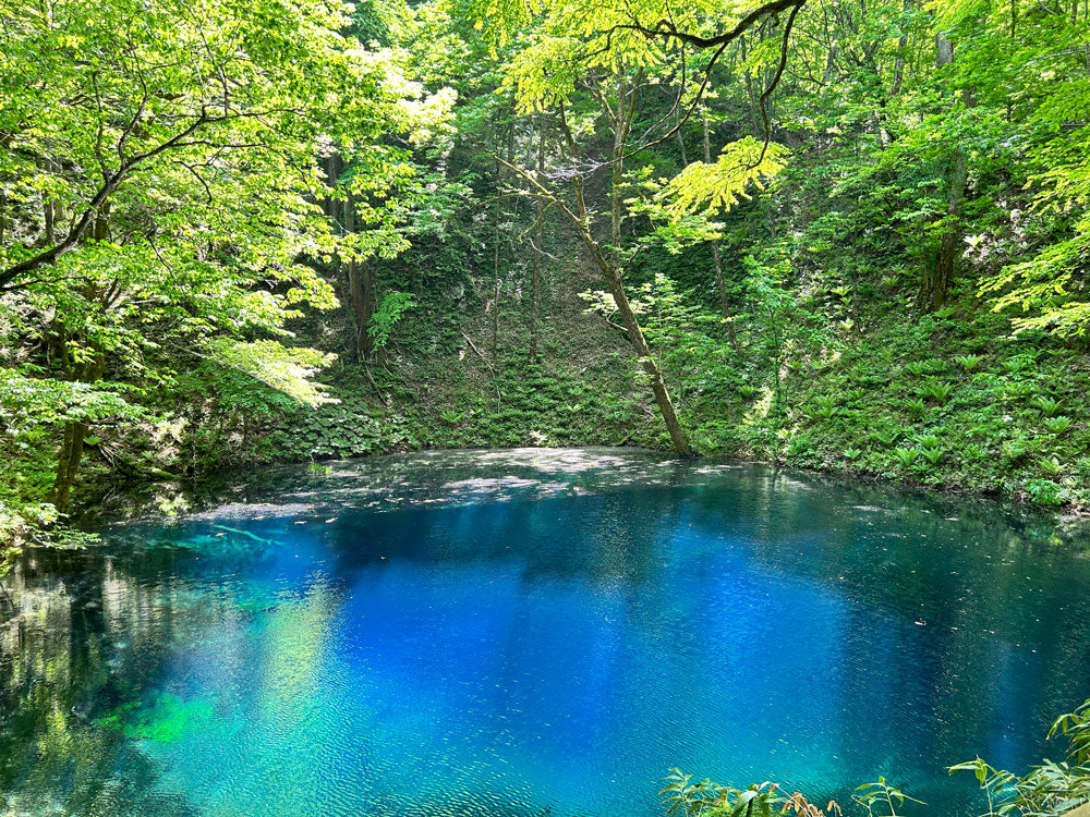3 Natural Wonders... Awe-inspiring Landscapes TOHOKU
