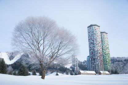 Hoshino Resort TOMAMU