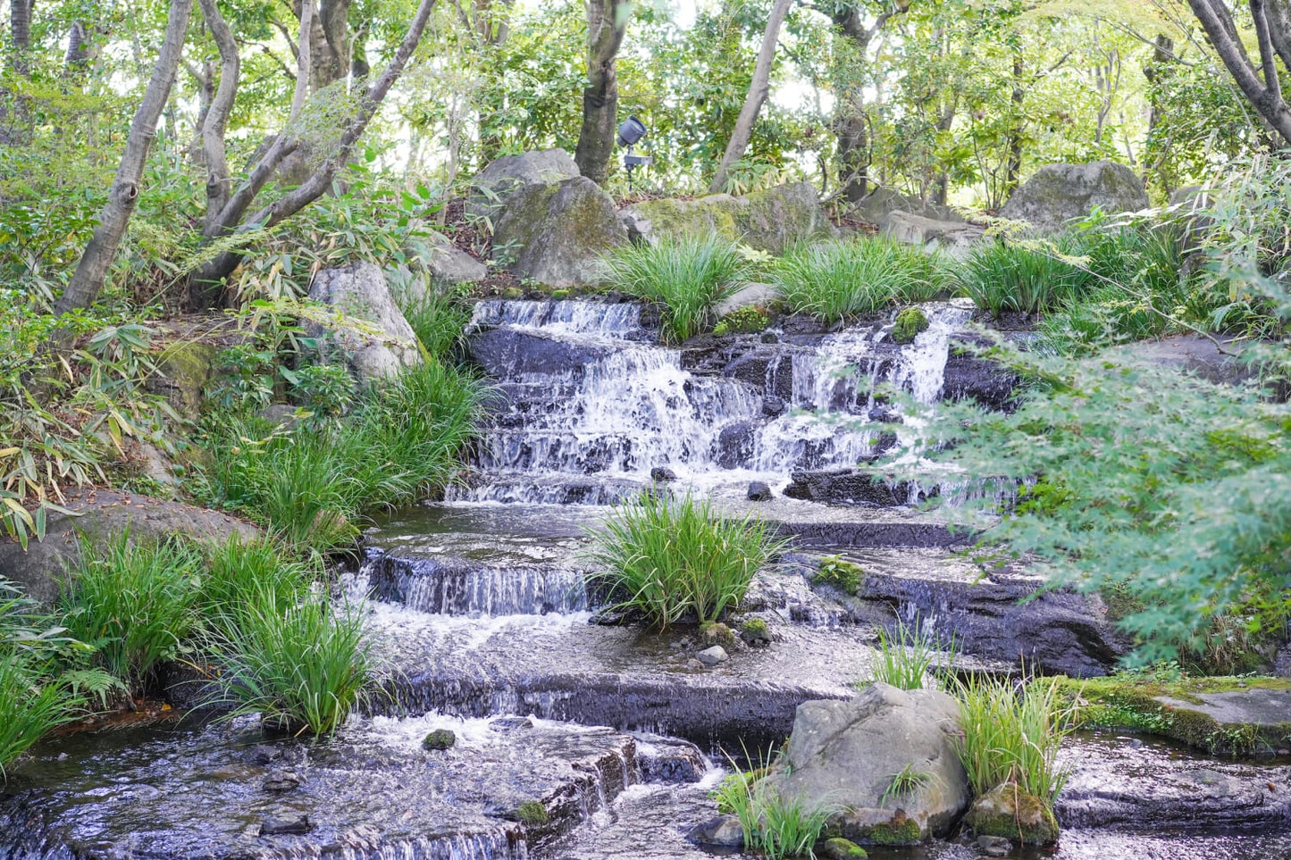 Half-day Himeji Castle Town Bike Tour