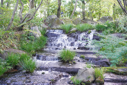 Half-day Himeji Castle Town Bike Tour