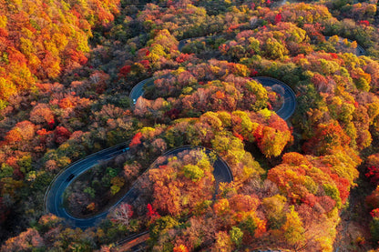 Autumn leaves journey from Aomori to Tokyo