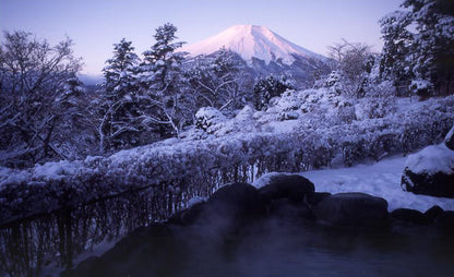 Hotel Mount Fuji