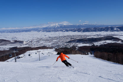 Shin Furano Prince Hotel