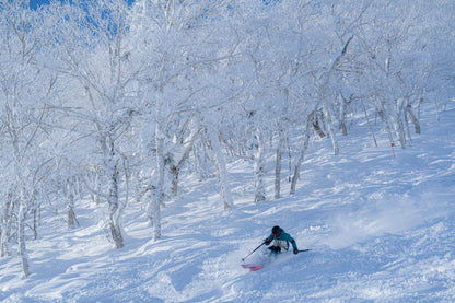 Shin Furano Prince Hotel