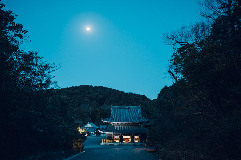 Otobutai 2026