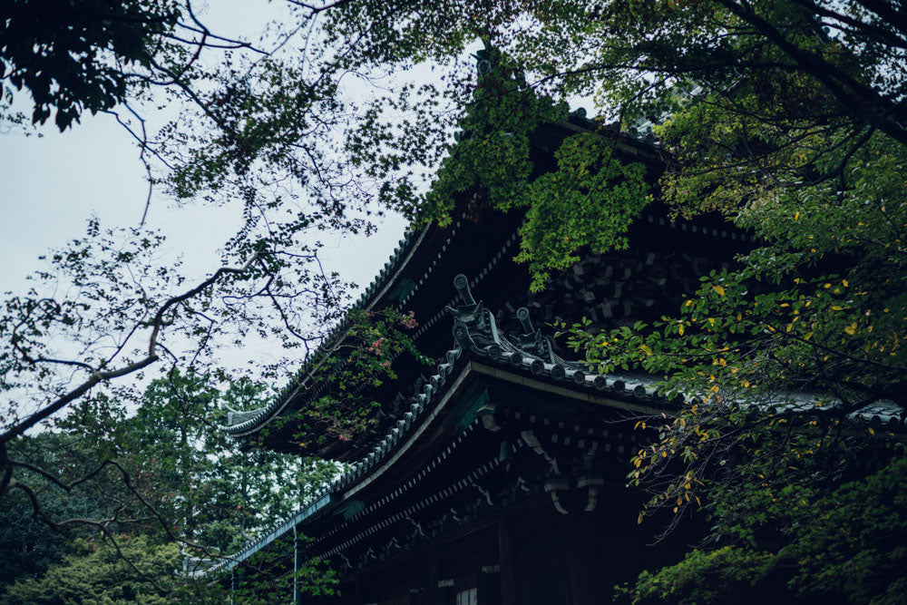 Otobutai 2026