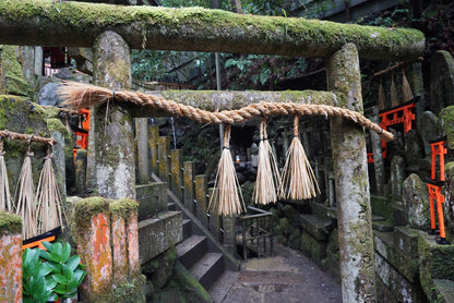 Fushimi Inari Hidden Hiking Tour