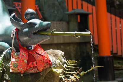 Fushimi Inari Hidden Hiking Tour