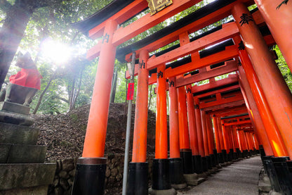 Fushimi Inari Hidden Hiking Tour