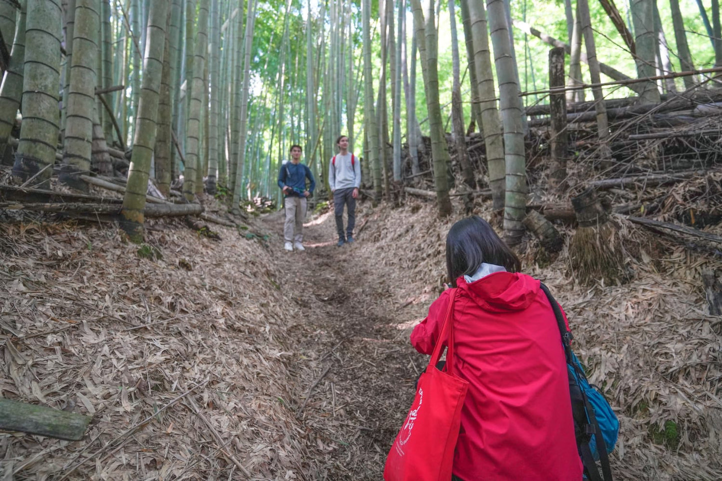 Fushimi Inari Hidden Hiking Tour