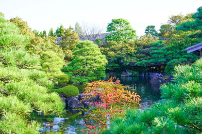 Half-day Himeji Castle Town Bike Tour