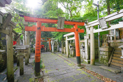 Fushimi Inari Hidden Hiking Tour