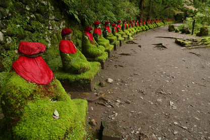 World Heritage Nikko Walking Tour