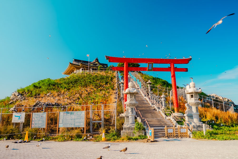 Spring Journey to Tohoku & Hakodate Cherry Blossoms & Seasonal Delights