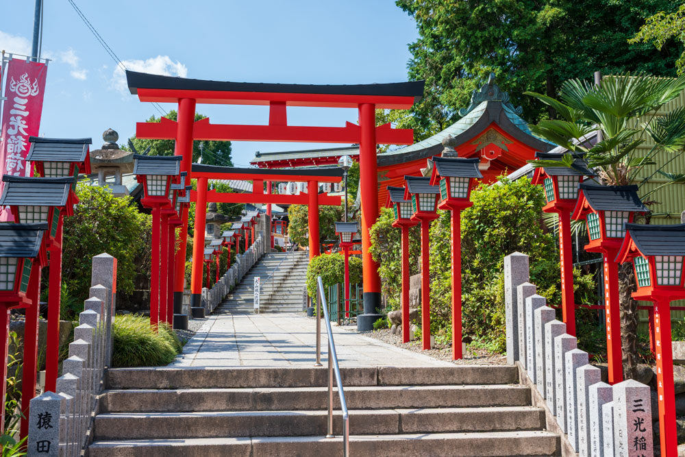 National Treasure Inuyama Castle & Town Tour
