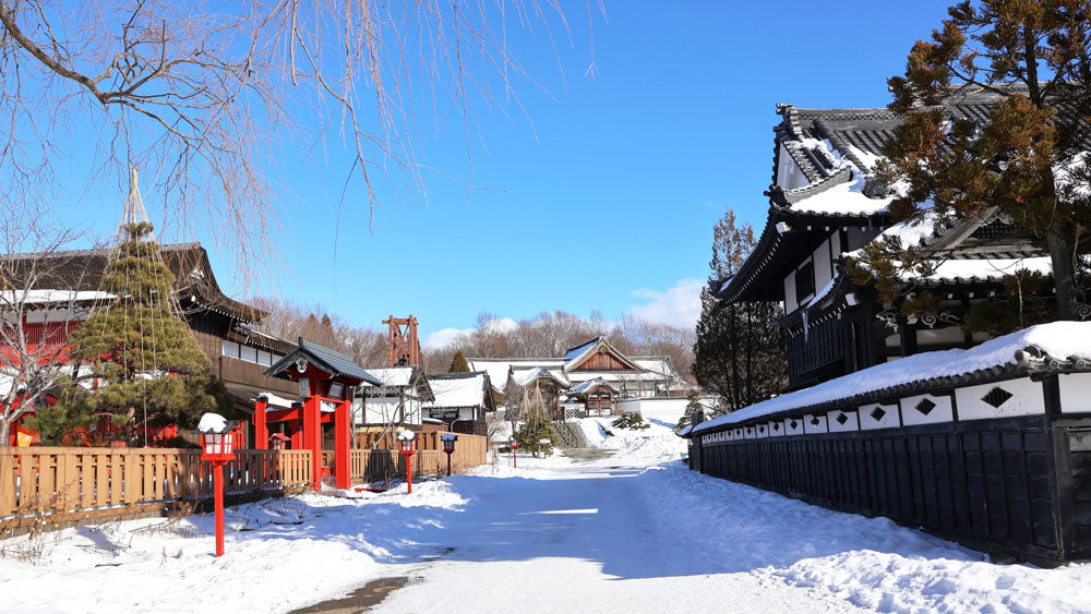 Hakodate, Noboribetsu, Sapporo & Otaru Winter Journey