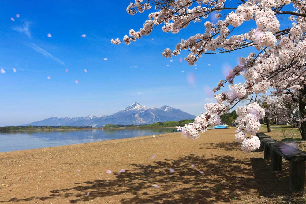 TOHOKU - Hidden Sakura Valley Retreat