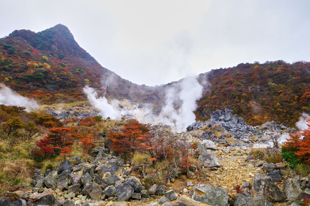 Mt. Fuji & Hakone Tour - 1 Day