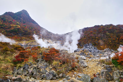 Mt. Fuji & Hakone Tour - 1 Day