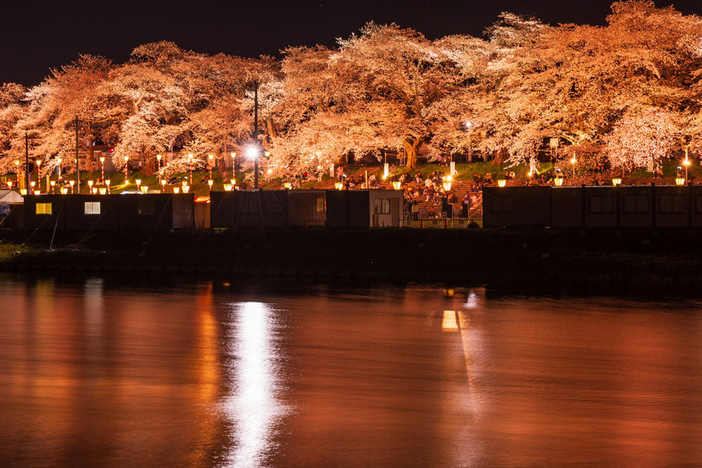 Spring Journey to Tohoku & Hakodate Cherry Blossoms & Seasonal Delights