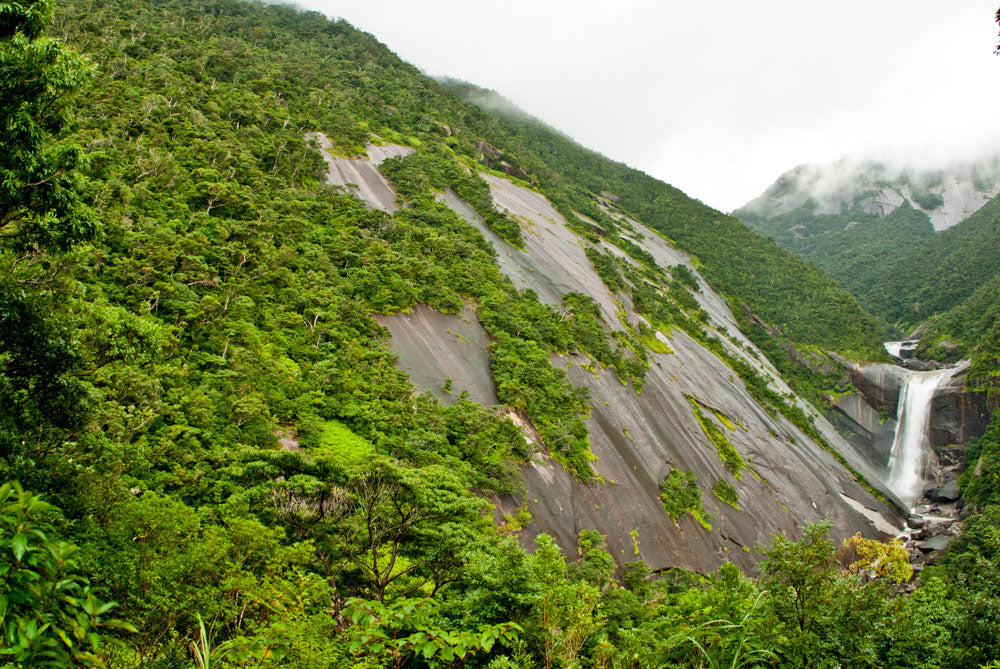 The Wellness Journey of Kyushu