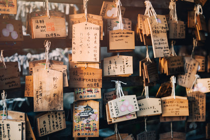 National Treasure Inuyama Castle & Town Tour