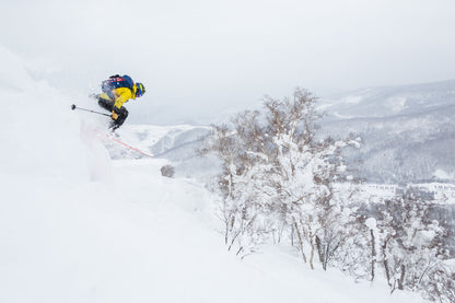 Hakodate, Noboribetsu, Sapporo & Otaru Winter Journey
