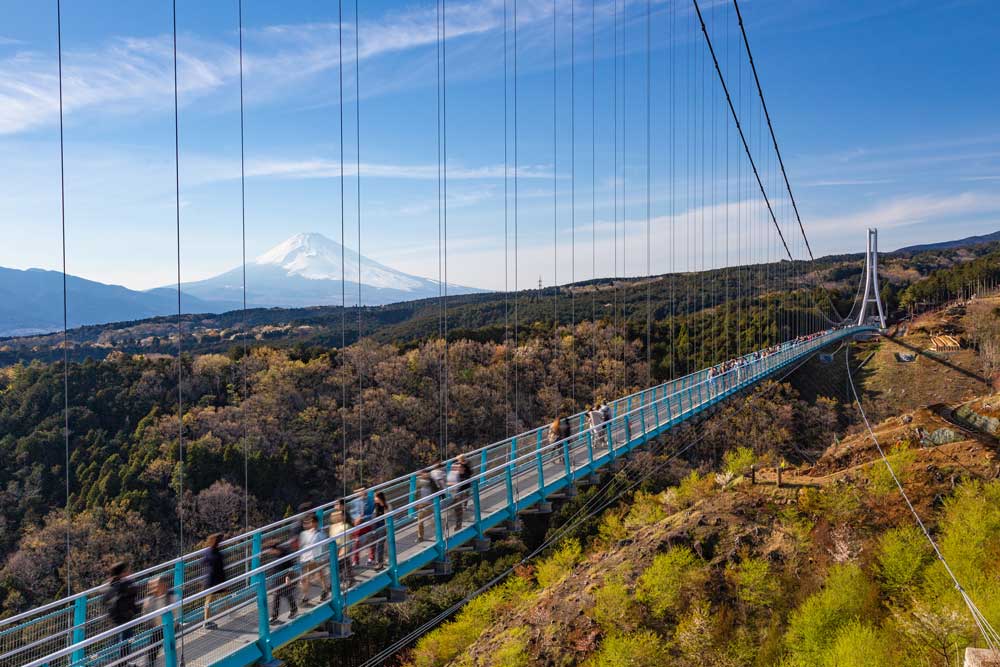 Shizuoka & Tokyo Luxury Escape