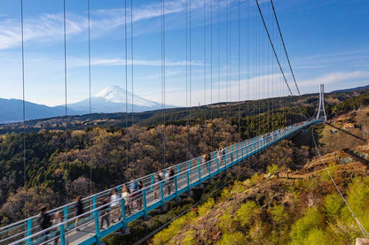 Shizuoka & Tokyo Luxury Escape