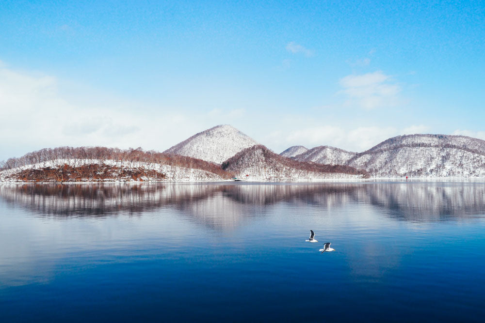 Hakodate, Noboribetsu, Sapporo & Otaru Winter Journey