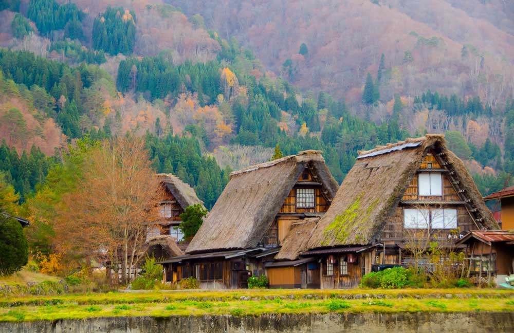 1 Day World Heritage Shirakawago & Takayama Tour
