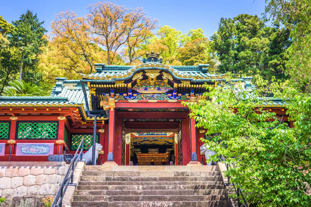 Shizuoka & Tokyo Luxury Escape