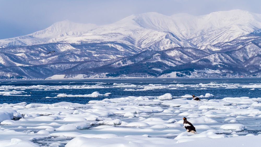 HOKKAIDO - Akan & Shiretoko Winter Escape