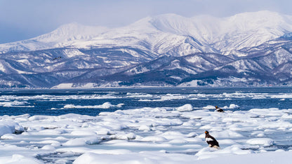 HOKKAIDO - Akan & Shiretoko Winter Escape