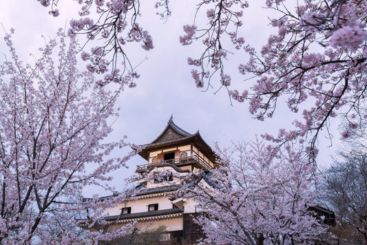 National Treasure Inuyama Castle & Town Tour