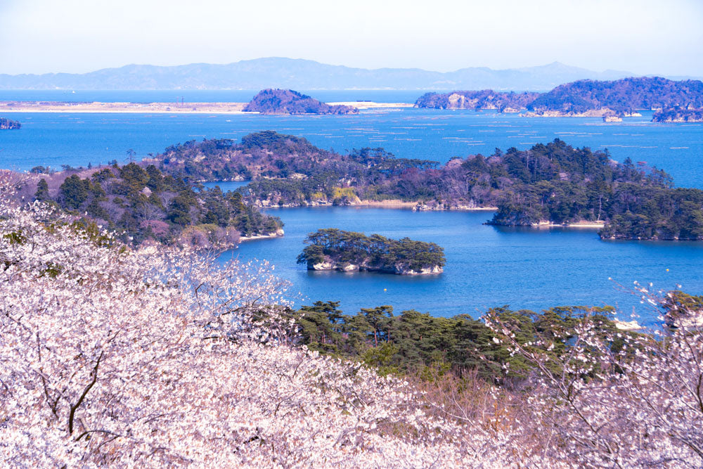 Spring Journey to Tohoku & Hakodate Cherry Blossoms & Seasonal Delights