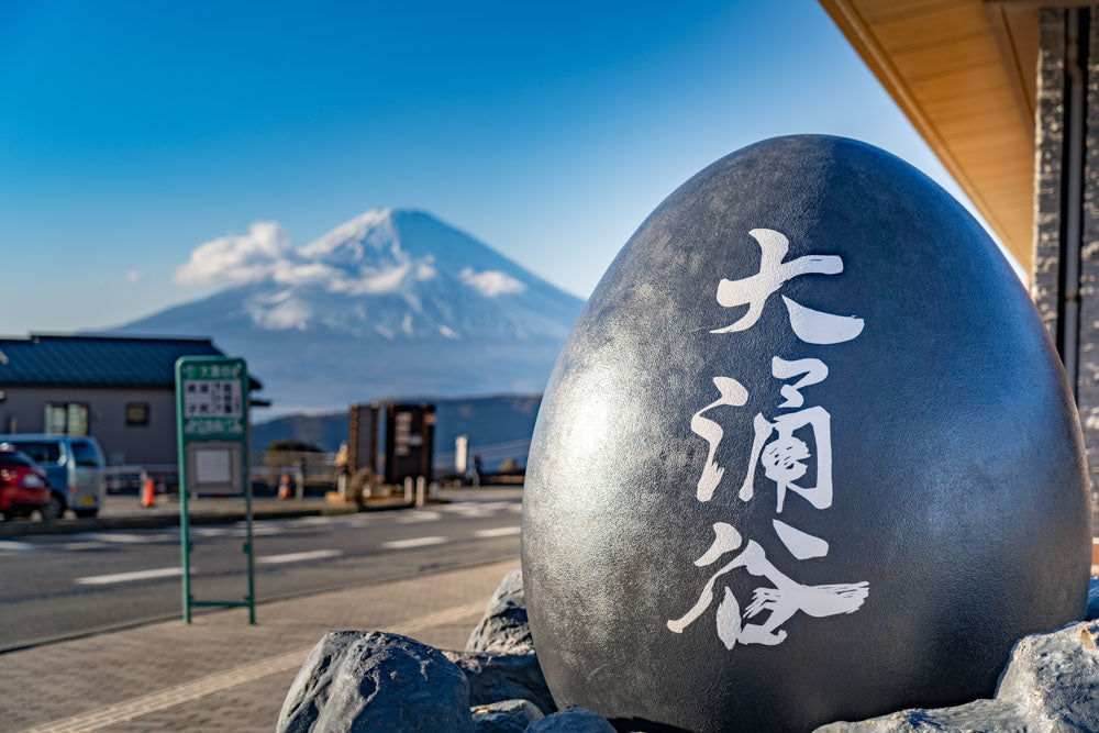 Mt. Fuji & Hakone Tour - 1 Day