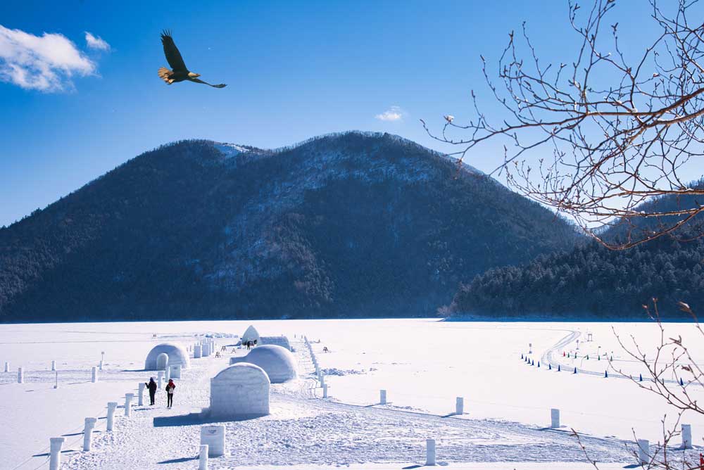 Tokachi Winter Escape - Snow & Ice Experience