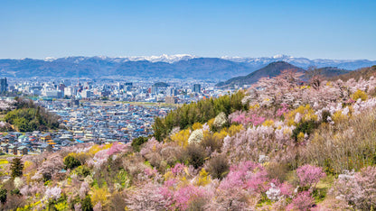 TOHOKU - Hidden Sakura Valley Retreat