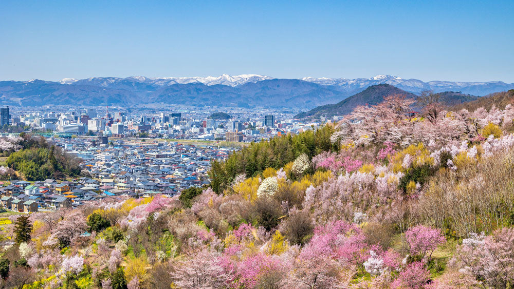 TOHOKU - Hidden Sakura Valley Retreat