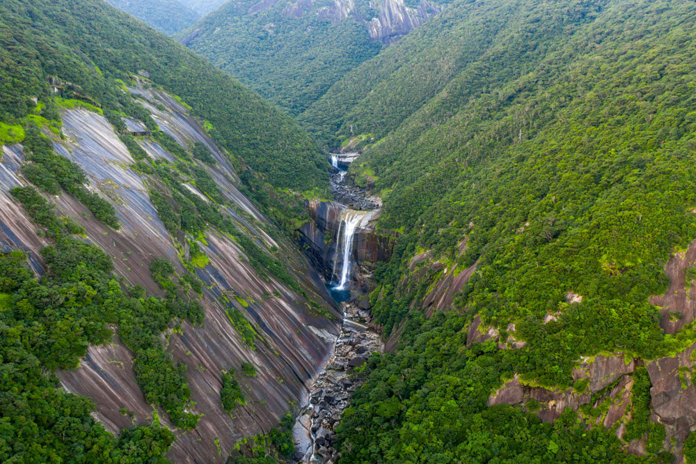 The Wellness Journey of Kyushu