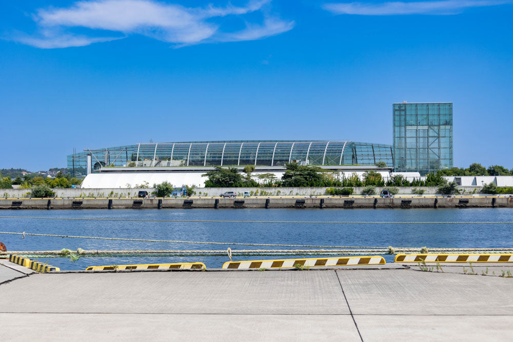 Spring Journey to Cherry Blossoms, Flowers & Port Towns