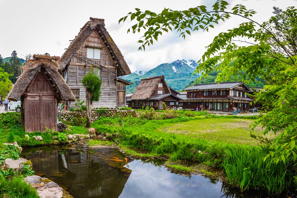 1 Day World Heritage Shirakawago & Takayama Tour