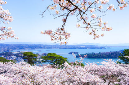 Spring Journey to Tohoku & Hakodate Cherry Blossoms & Seasonal Delights