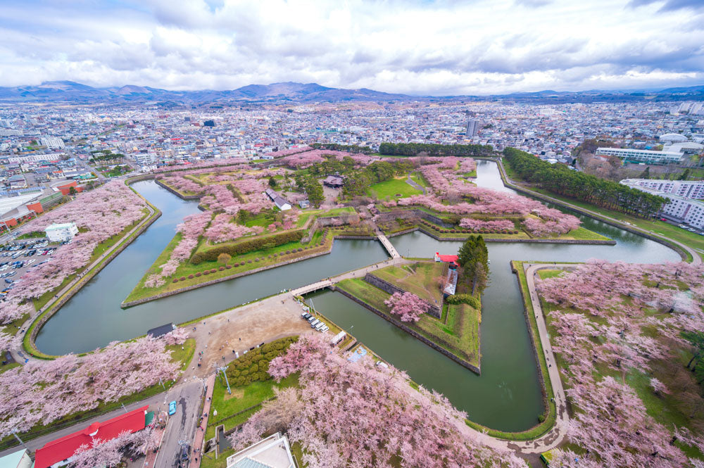 HOKKAIDO - Hakodate Sakura & Snow Fantasy