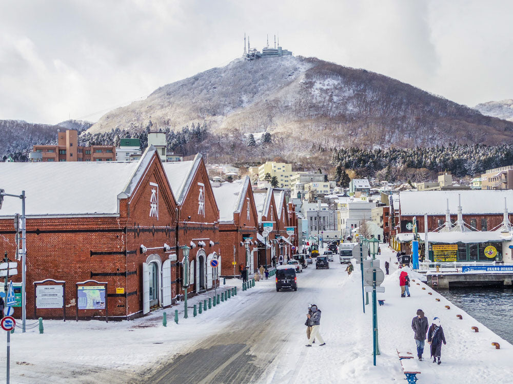 Hakodate, Noboribetsu, Sapporo & Otaru Winter Journey