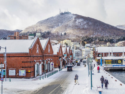 Hakodate, Noboribetsu, Sapporo & Otaru Winter Journey