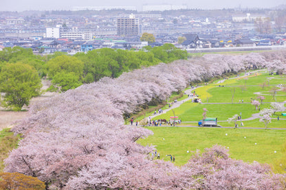 Spring Journey to Tohoku & Hakodate Cherry Blossoms & Seasonal Delights