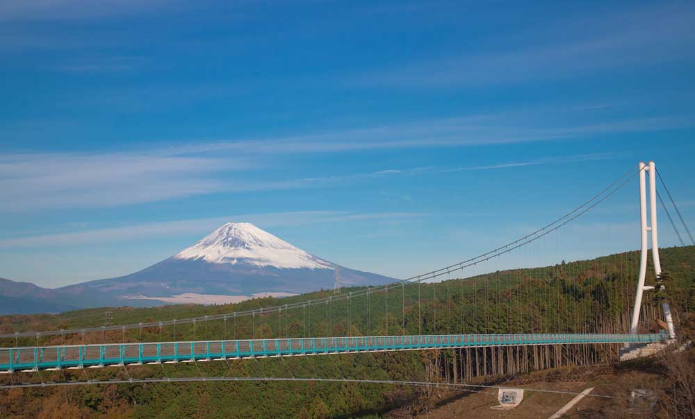 Shizuoka & Tokyo Luxury Escape