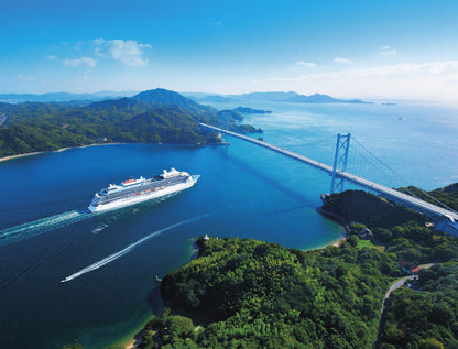 Spring Journey to Night Cherry Blossoms, Nemophila & Northern Port Towns